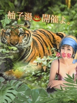 深夜のみさきです。