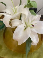 おはようございます。