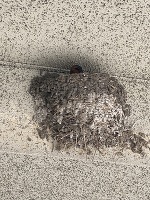 深夜のみさきです。