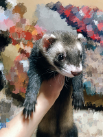 💗大事な日💗