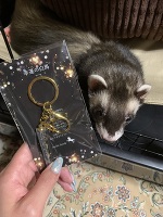 💗おはよう💗