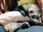 💗すやすや💗