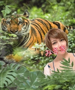 深夜のみさきです。