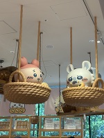 お休みしてリフレッシュしてました