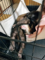 💗狂ってるらしい💗