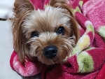 こんにちは☁