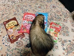 💗おはよう💗