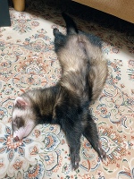 💗ありがとう💗