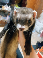 💗おはよう💗