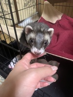 💗おはよう💗