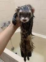 💗おはよう💗