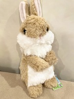 今日の有難う🈵🐰🌟💓