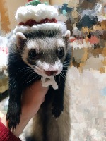 💗おはよう💗