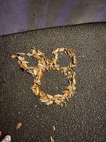 話題の自認○○