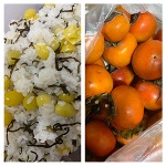 深夜のみさきです。