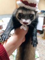 💗おはよう💗