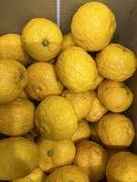 出勤してますよー