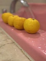 深夜のみさきです。