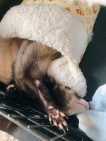 💗おはよう💗