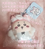 2026年もご贔屓に🌼🌼🌼