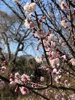 みなさん、おはようございます😀