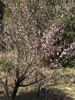 みなさん、おはようございます😀