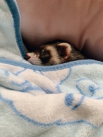 💗おはよう💗