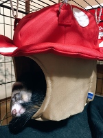 💗おはよう💗