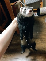 💗おはよう💗