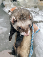 💗ありがとう💗