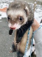 💗これっておかしい？💗