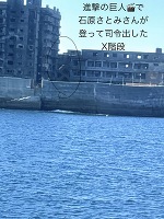 お帰りうらん✈️