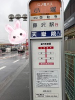 多美（たみ）の帰還😂