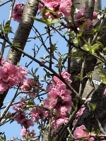 本日もお疲れ様でした♨️ さてさて質問です。