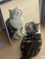 😭長期休養します😭