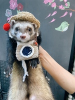 💗ふわふわ💗