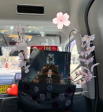 🩷from多美（たみ）