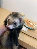 💗おはよう💗