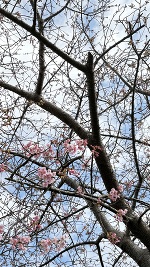 今日もいます💓