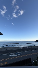 今日もいます💓