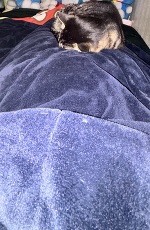 ごめんなさい🙇‍♀️‪💦‬