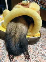 💗おはよう💗