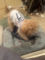 リクちゃん💕💕