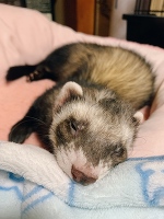 💗ぼろ負け💗