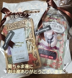 平日何ヶ月ぶりでしょうか…